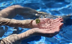 波多野结衣.torrent